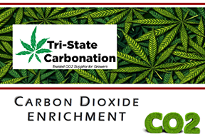 TCSCO2 CO2 for Cannabis